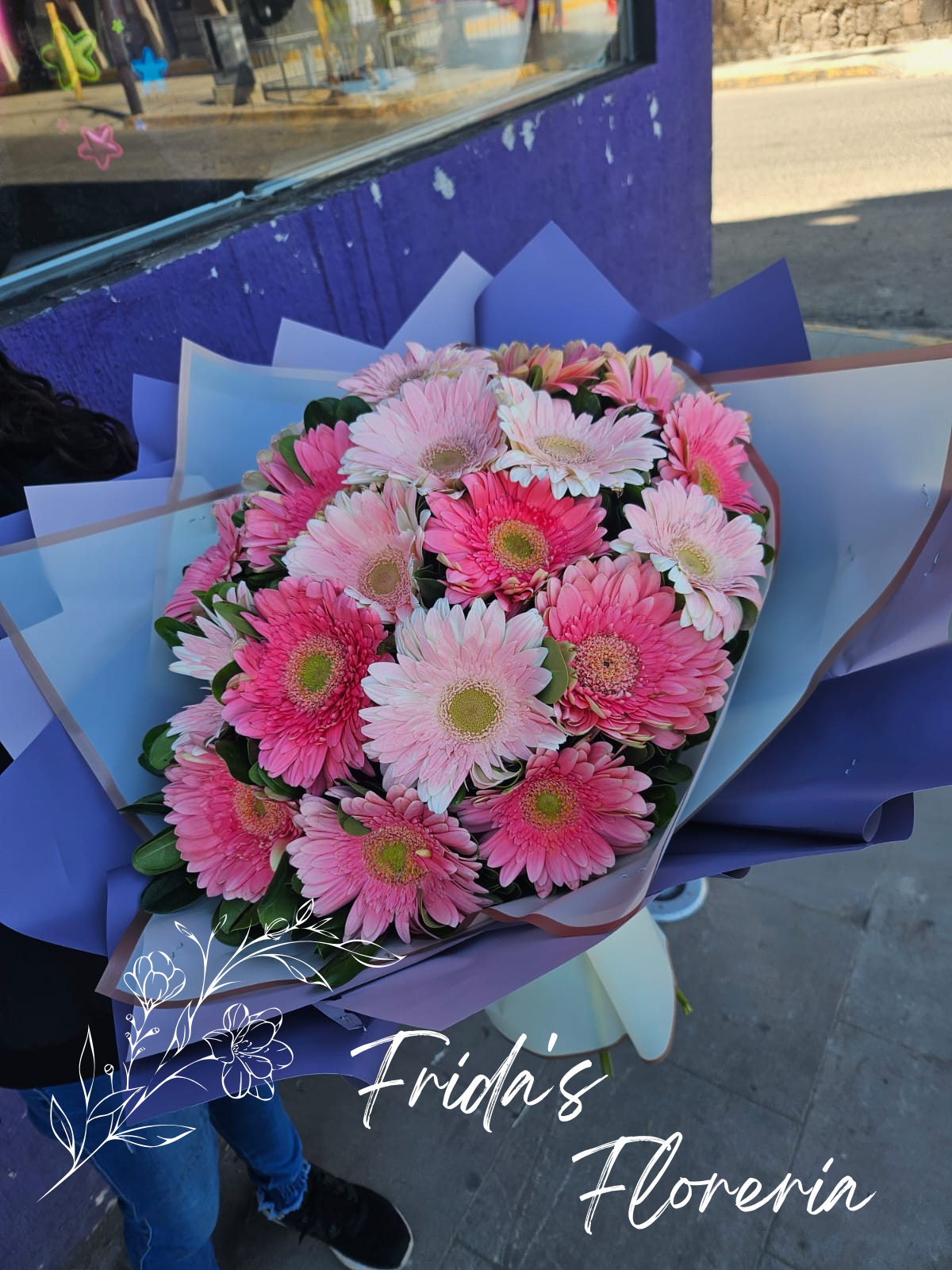 20 Gerberas Encanto