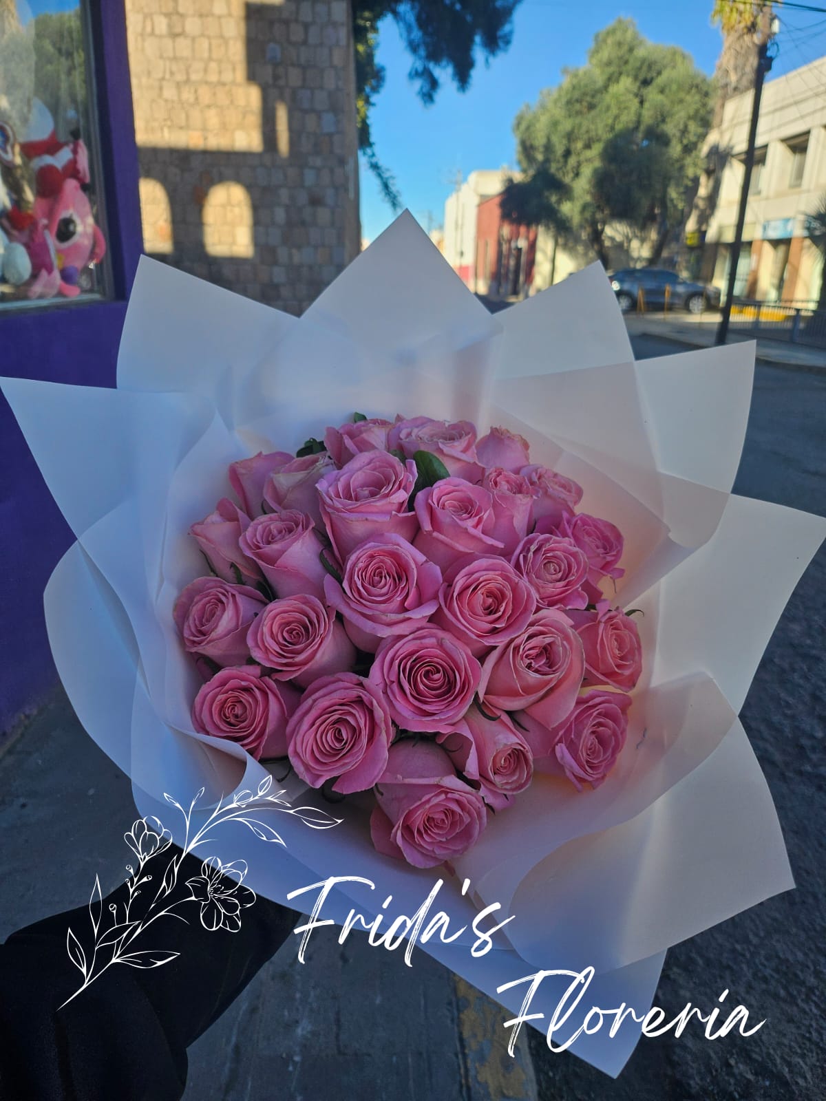 24 Rosas Rosa