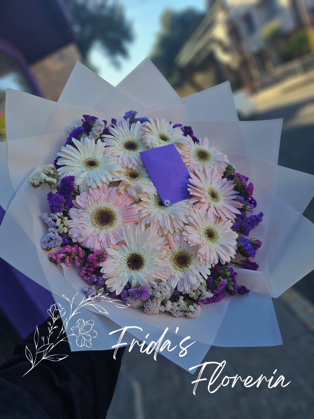 12 Gerberas Especial