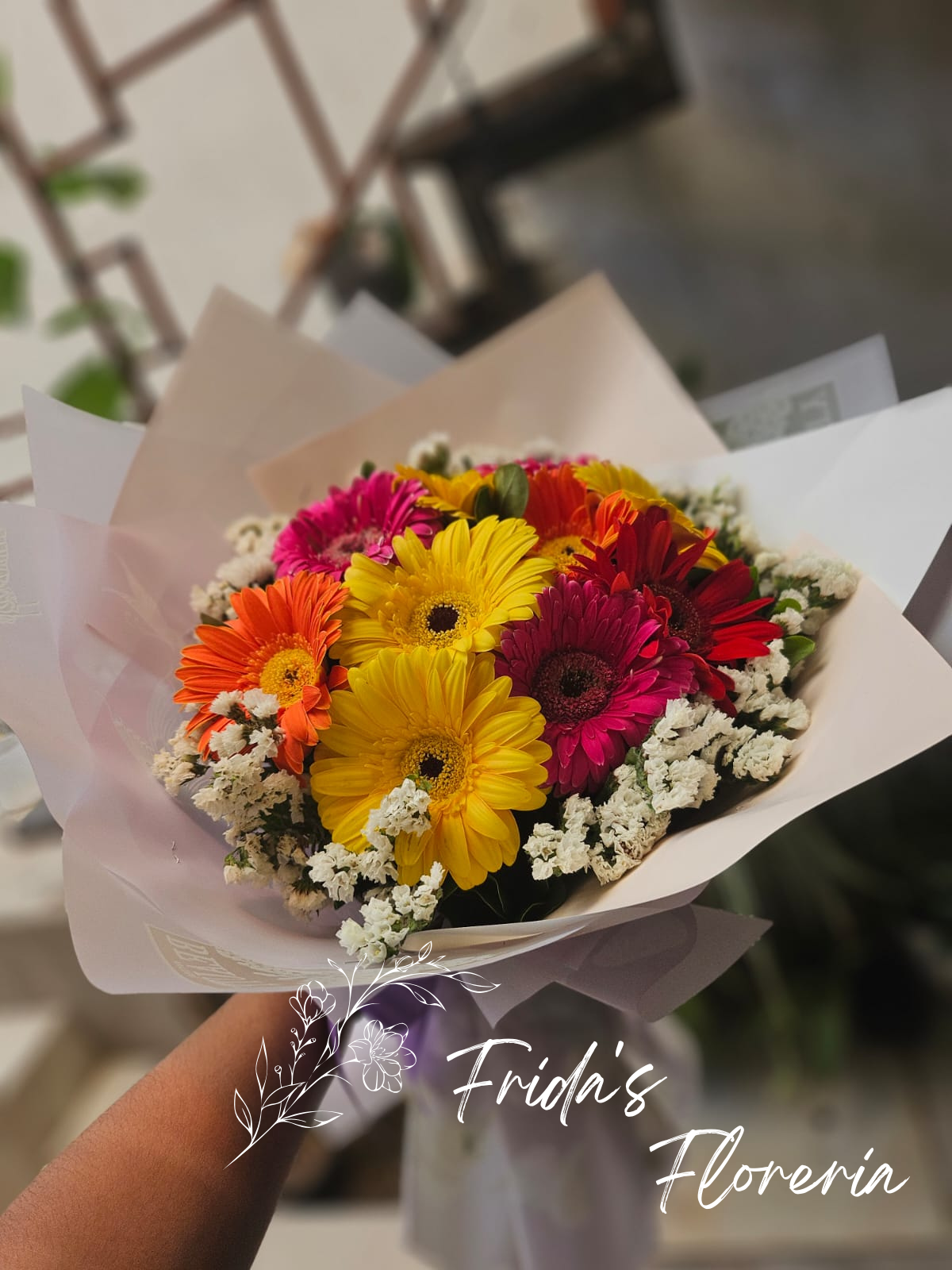 10 Gerberas de colores