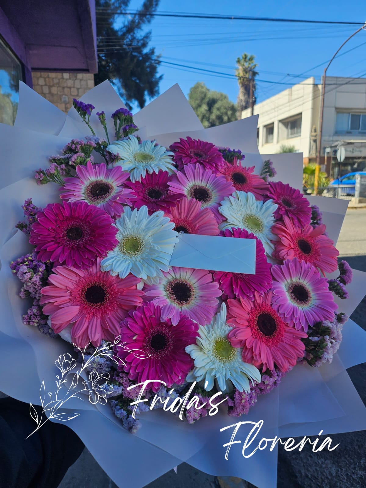 18 gerberas colores