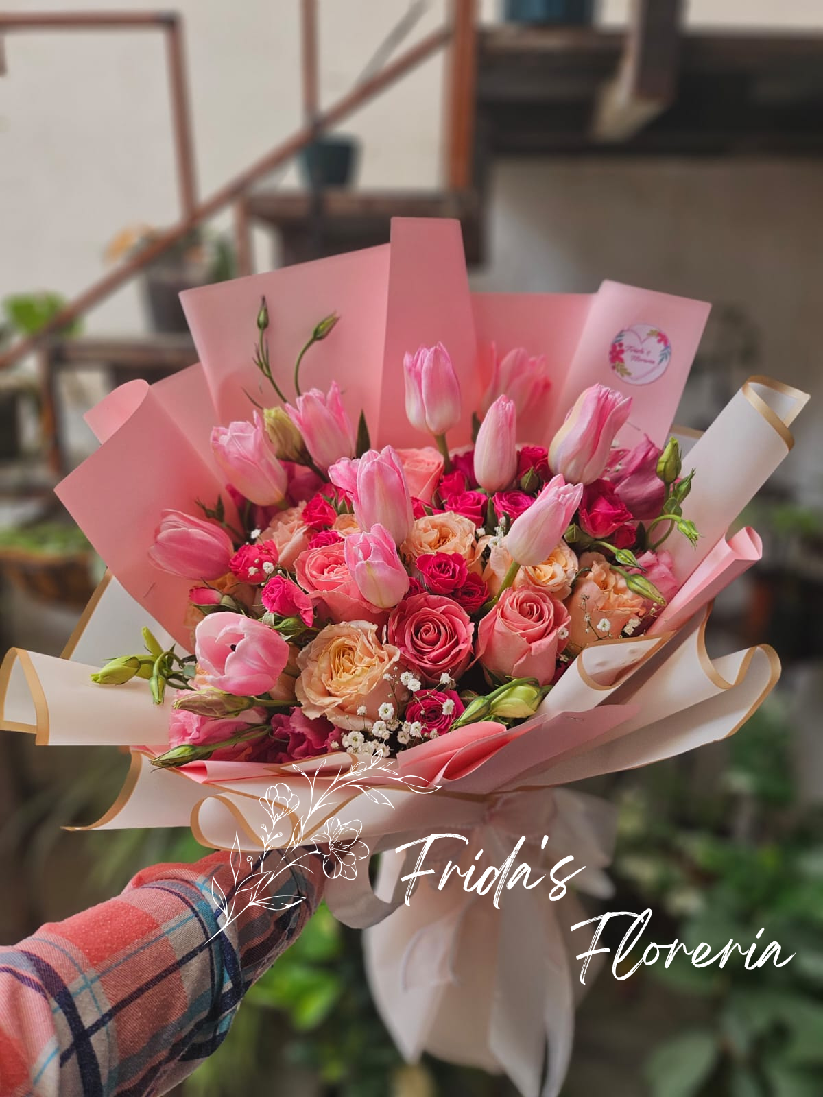 Tulipanes Ensueño