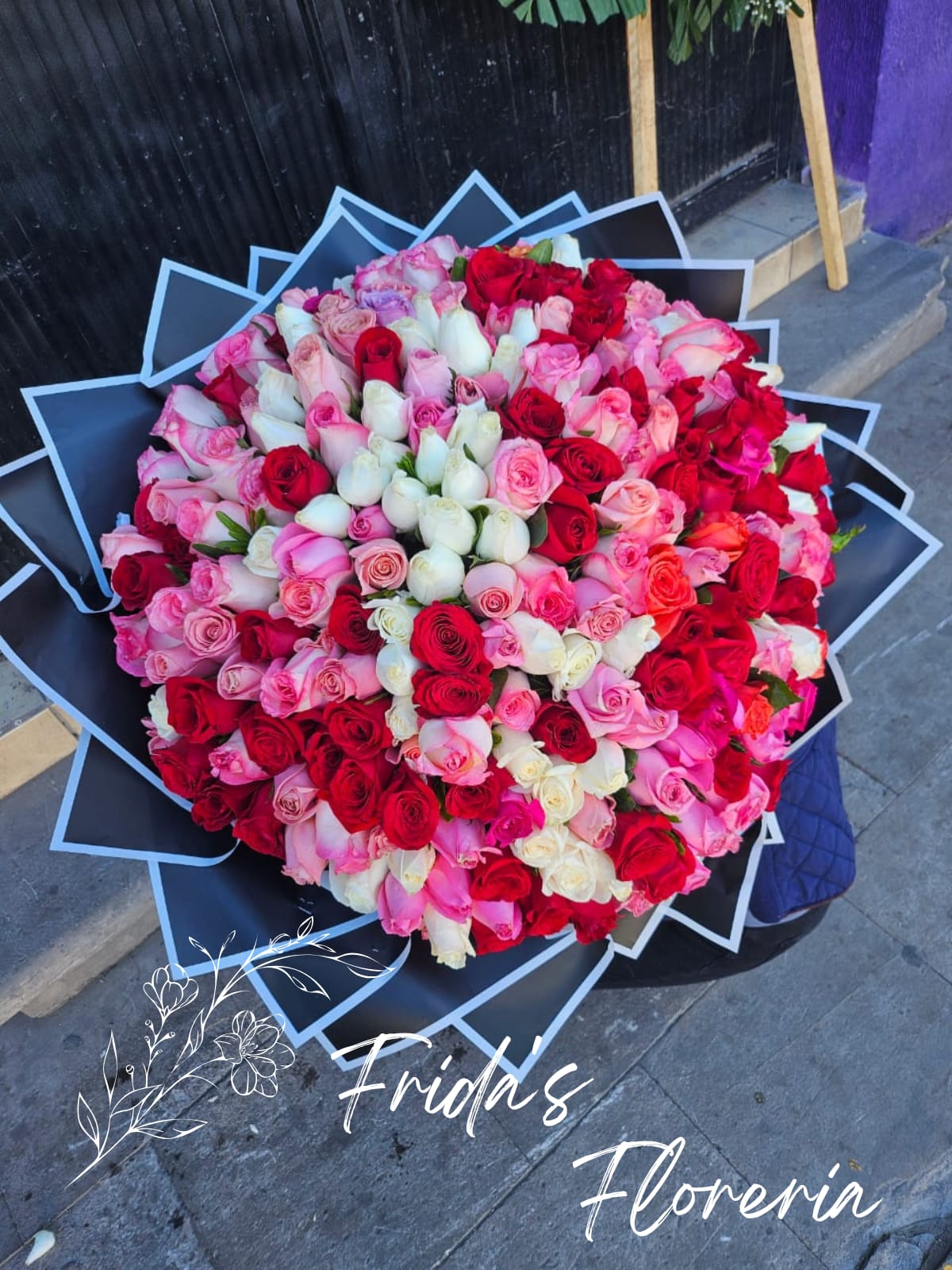 250 Rosas Colores