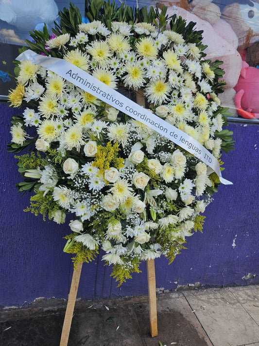 Corona Grande Blanca