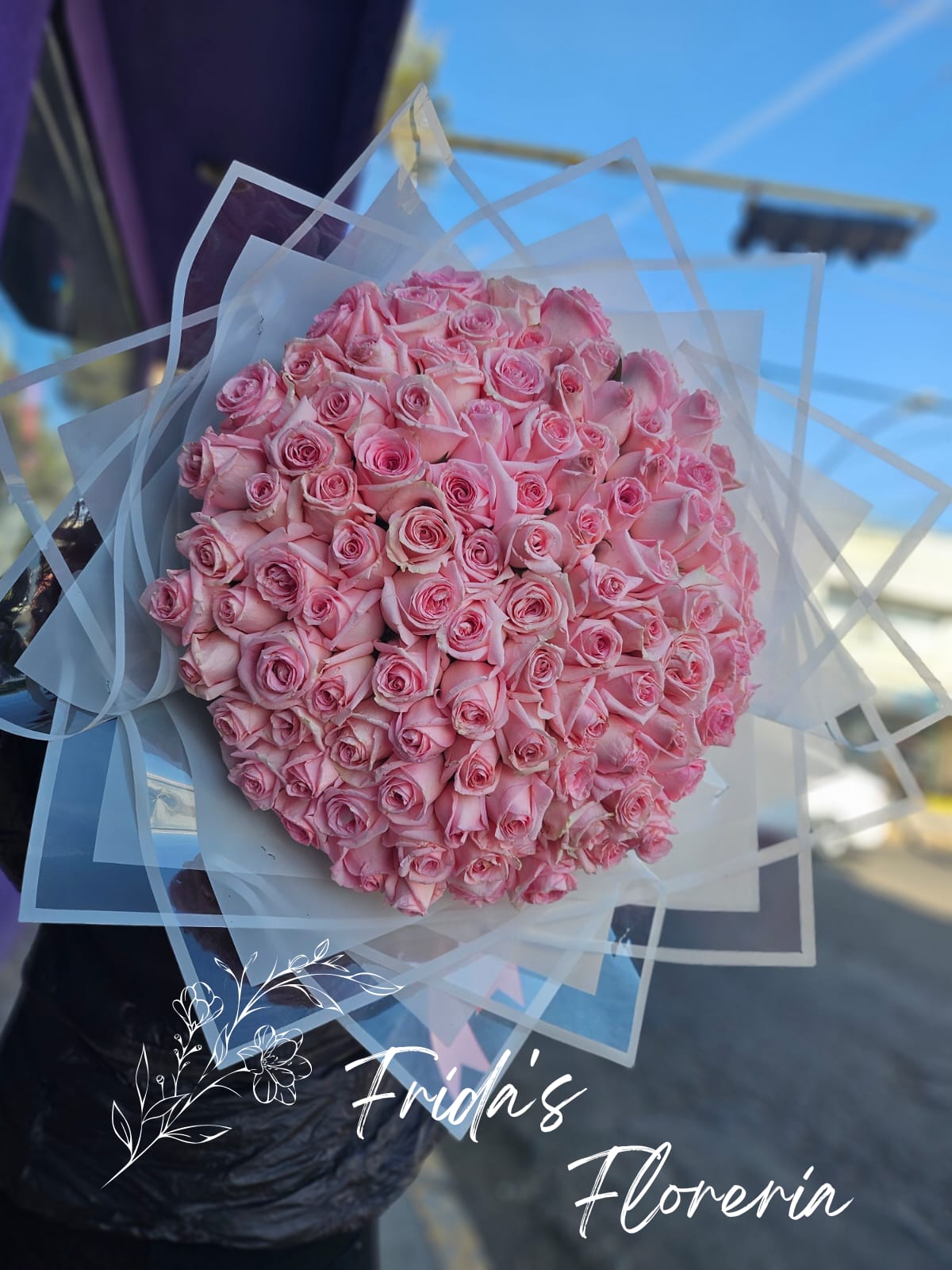 100 Rosas Rosa